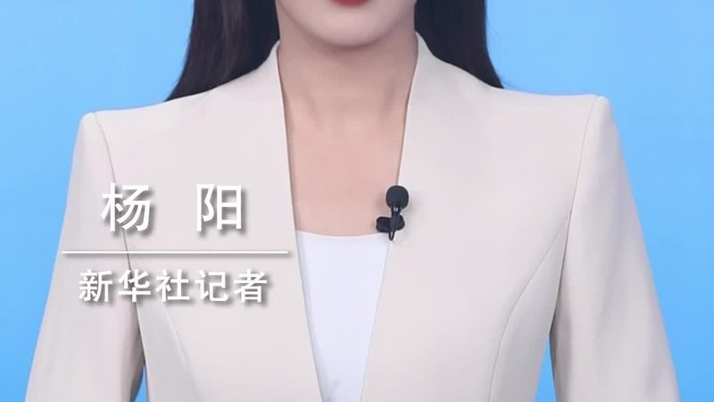 信息化建设项目管理流程表：构建高效IT项目的关键**