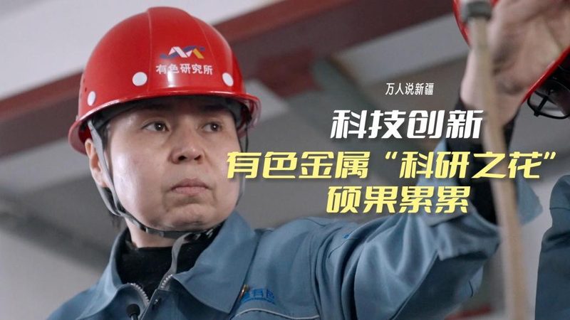 数据服务报价单：揭秘企业数据服务采购的关键要素
